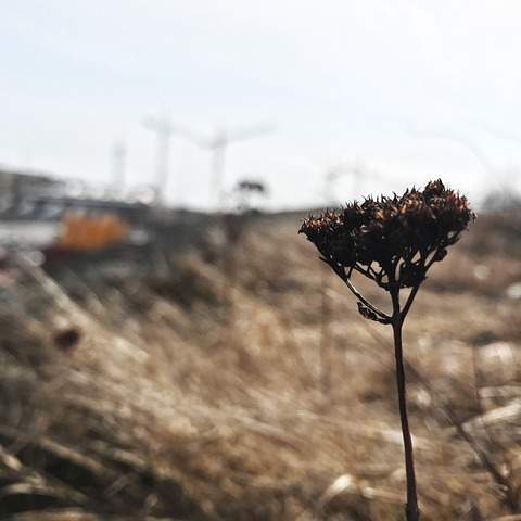 제주 루온, 나만의 꿈을 펼칠 럭셔리 토지 매매의 기회